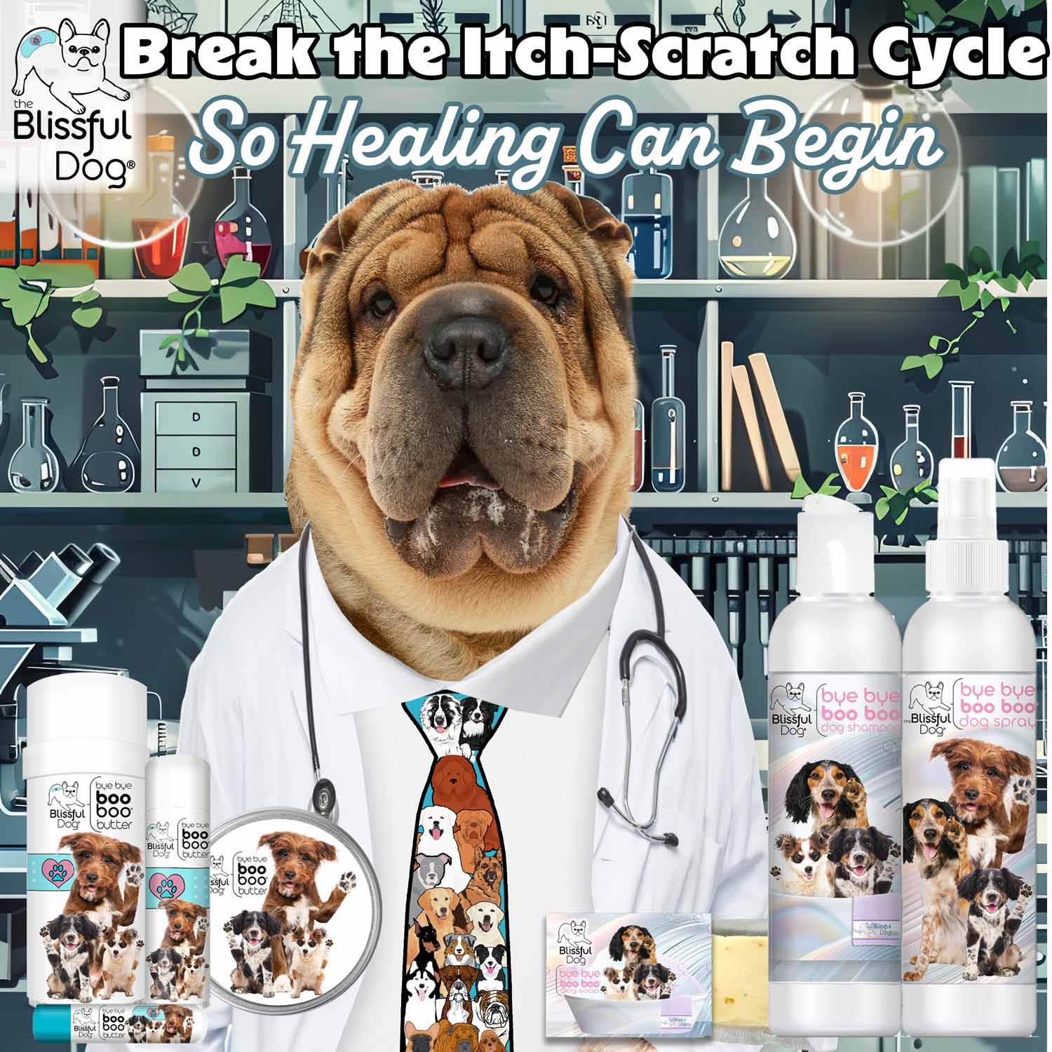 CHINESE SHAR-PEI ITCHY